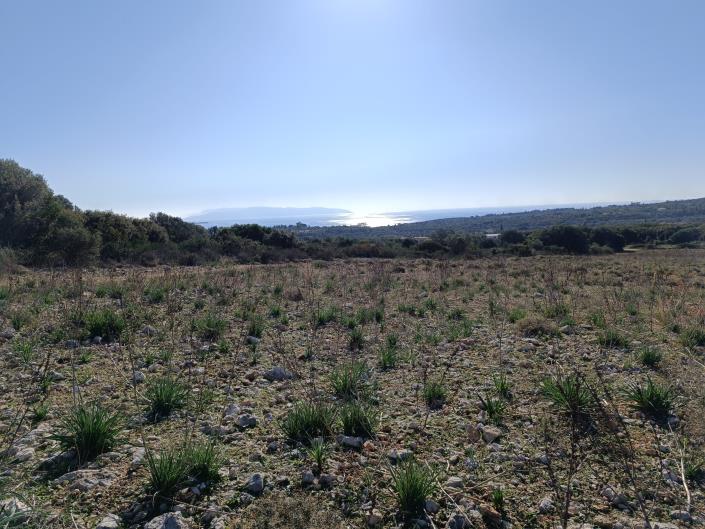 Image No.5-Land for sale