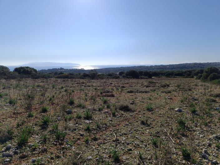 Image No.10-Land for sale