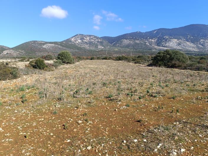 Image No.12-Land for sale