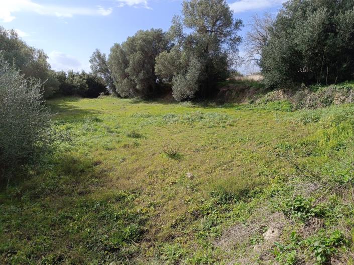 Image No.4-Plot for sale