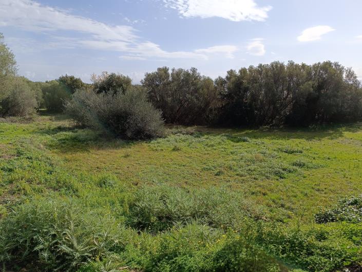 Image No.5-Plot for sale