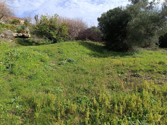 Image No.7-Plot for sale