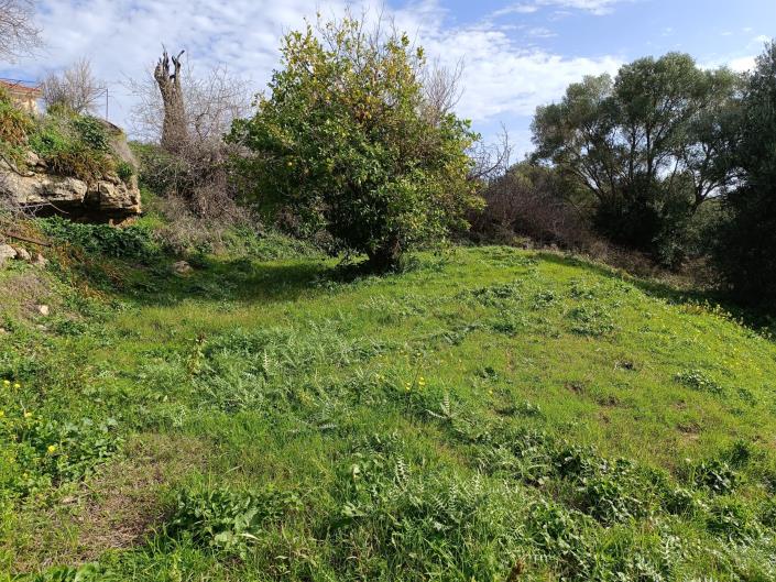 Image No.10-Plot for sale