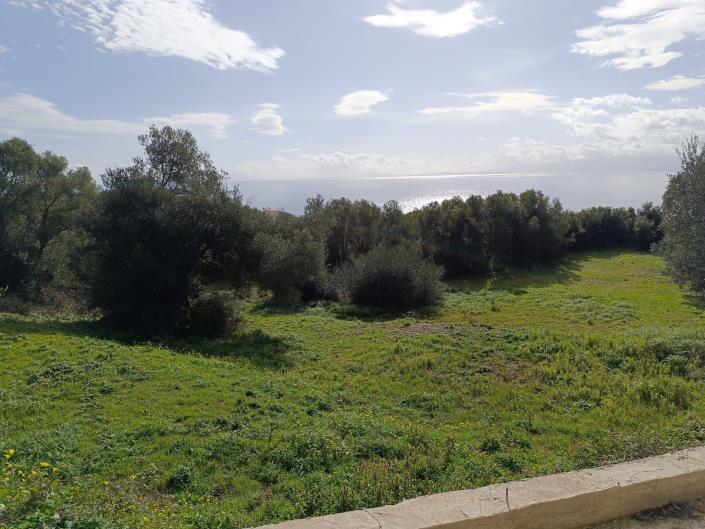 Image No.11-Plot for sale