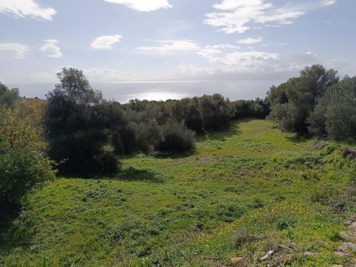 Image No.13-Plot for sale