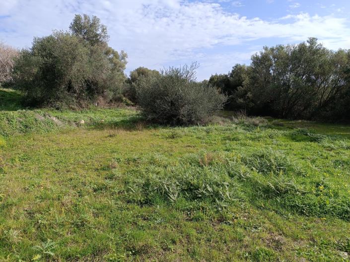 Image No.14-Plot for sale