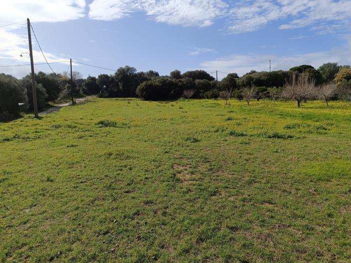 Image No.1-Plot for sale