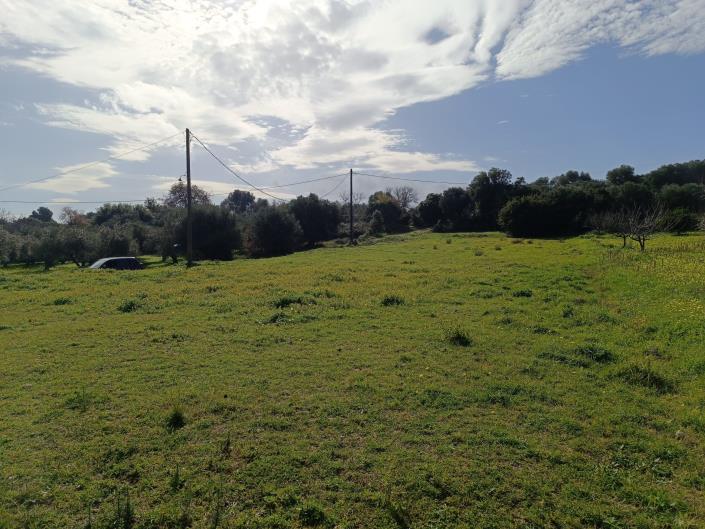 Image No.5-Plot for sale