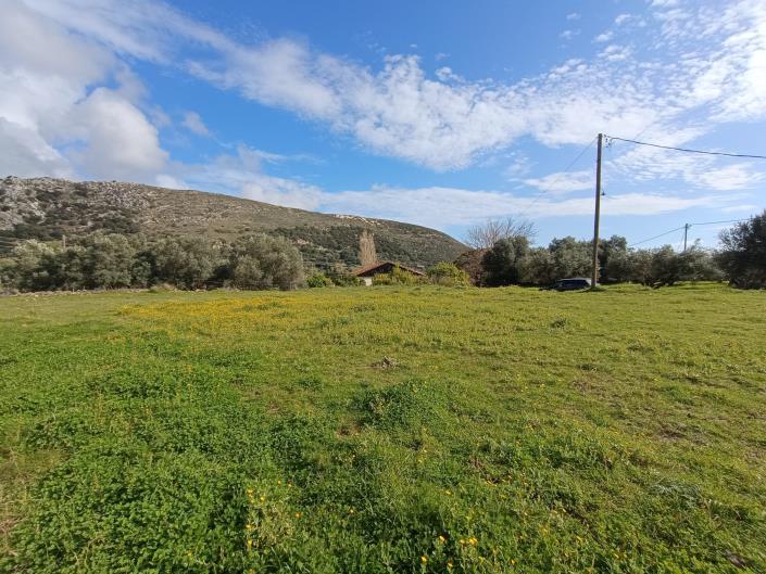 Image No.7-Plot for sale