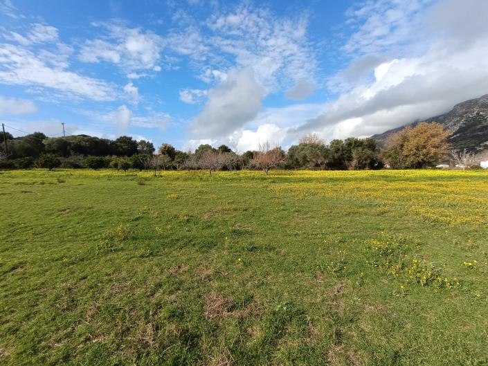 Image No.8-Plot for sale