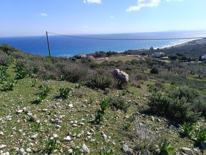 Image No.1-Land for sale