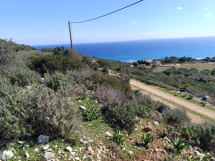 Image No.3-Land for sale