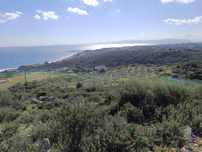 Image No.4-Land for sale