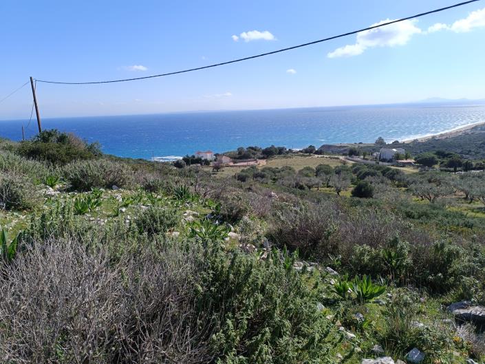 Image No.8-Land for sale