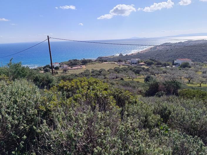 Image No.10-Land for sale