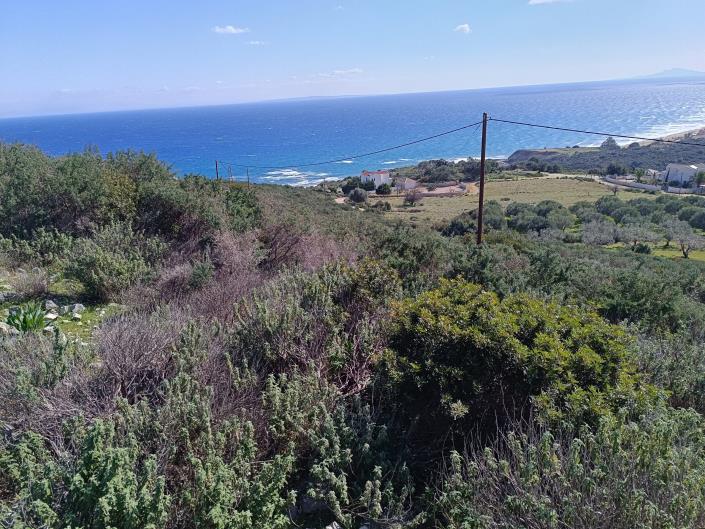 Image No.13-Land for sale