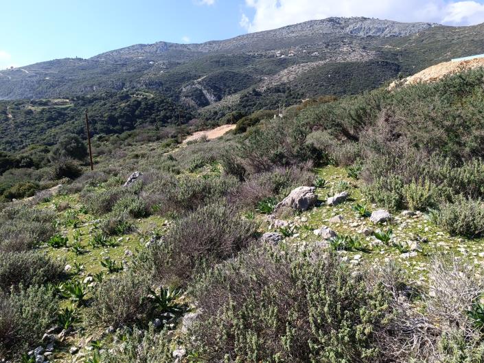 Image No.16-Land for sale