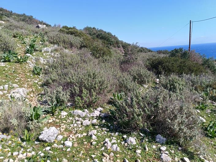 Image No.20-Land for sale