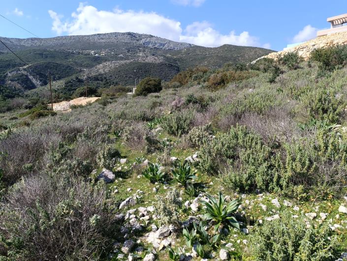 Image No.23-Land for sale