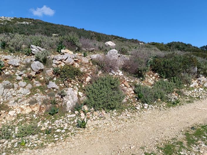 Image No.25-Land for sale