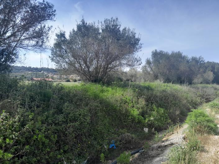 Image No.1-Plot for sale
