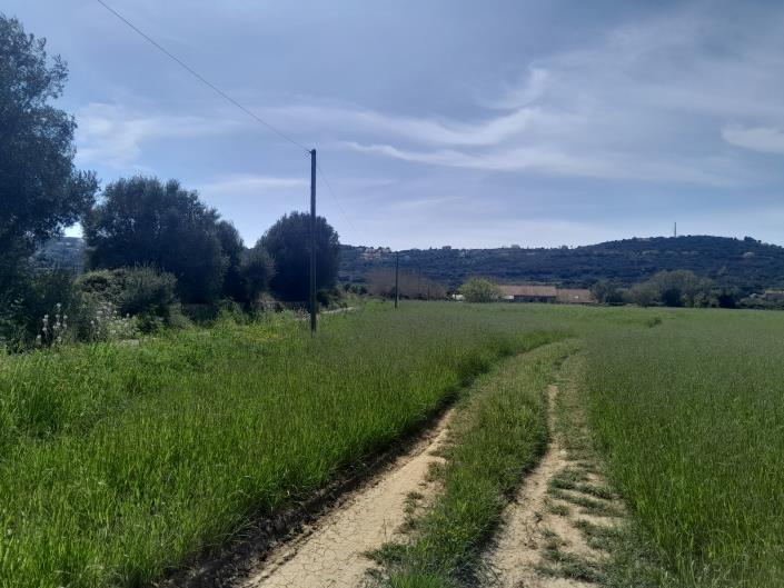 Image No.11-Plot for sale