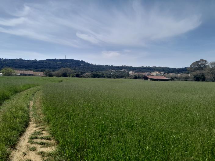 Image No.12-Plot for sale