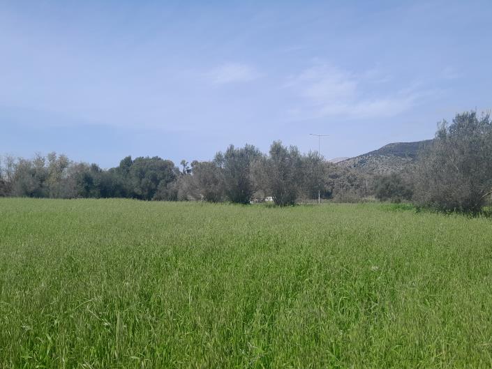 Image No.13-Plot for sale