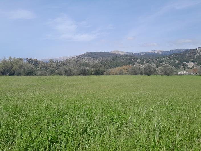 Image No.16-Plot for sale