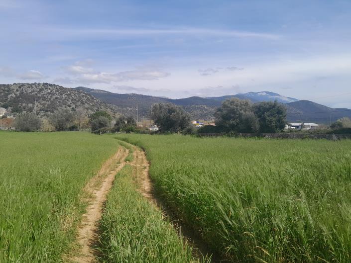 Image No.17-Plot for sale