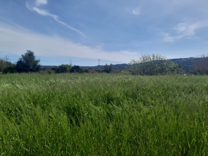 Image No.18-Plot for sale