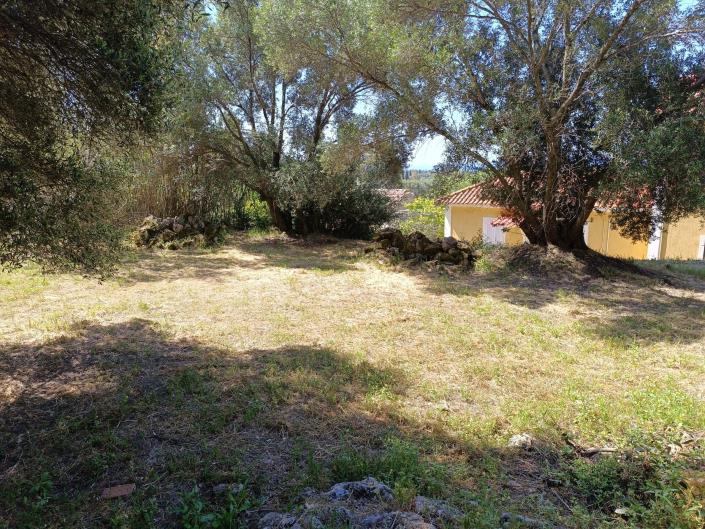 Image No.13-Land for sale