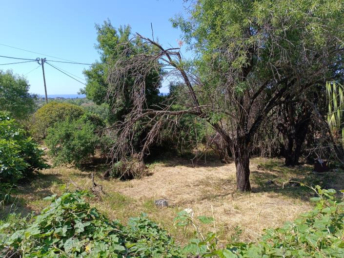 Image No.23-Land for sale