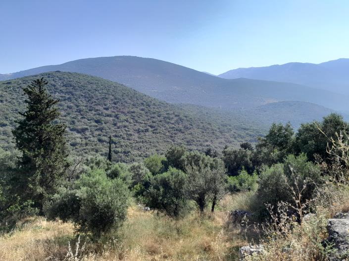 Image No.1-Land for sale