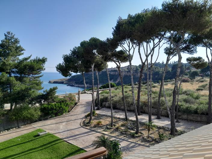 Image No.6-10 Bed Villa for sale