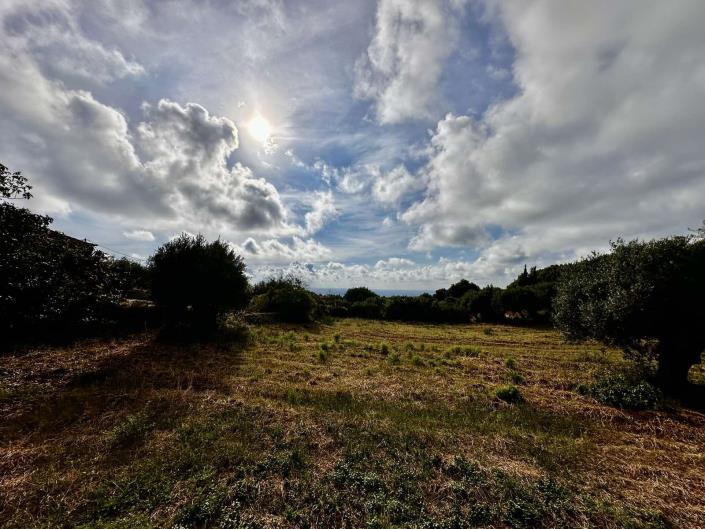 Image No.5-Plot for sale