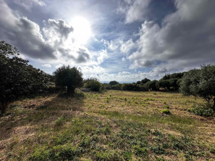 Image No.6-Plot for sale