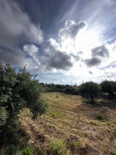 Image No.7-Plot for sale