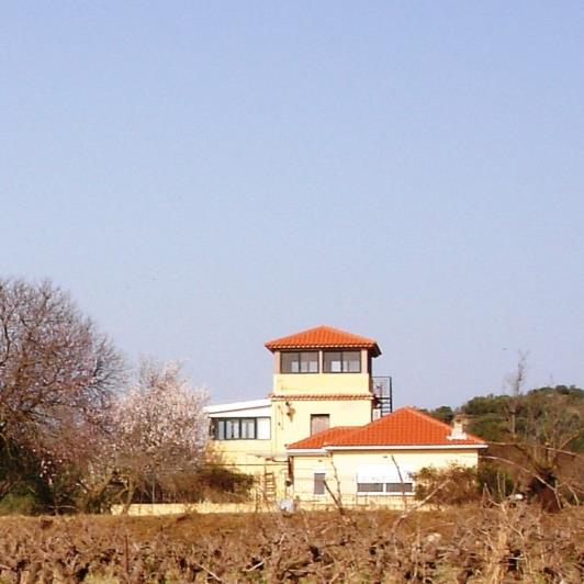 Image No.10-Vineyard for sale