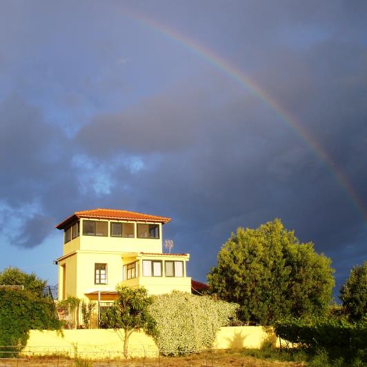 Image No.12-Vineyard for sale