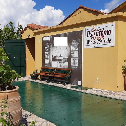 Image No.21-Vineyard for sale