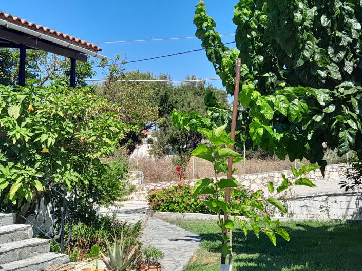 Image No.7-3 Bed House for sale