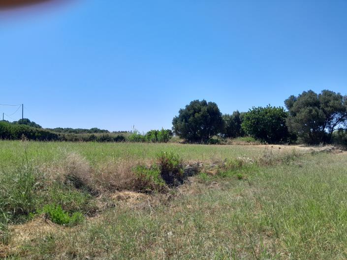 Image No.22-3 Bed House for sale