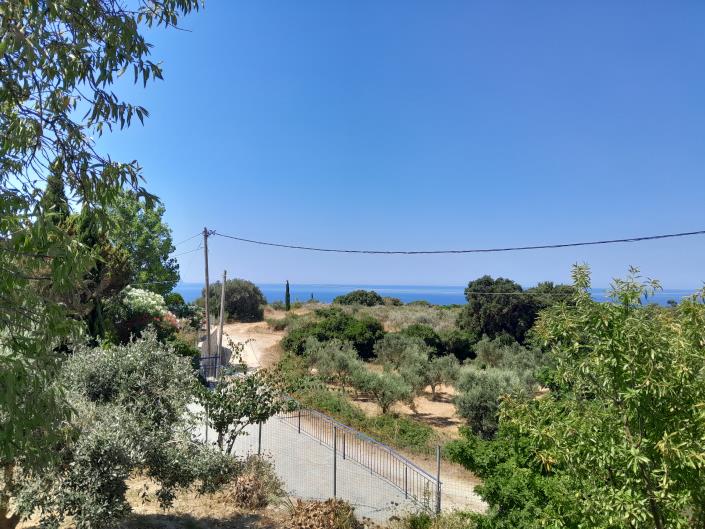 Image No.25-3 Bed House for sale