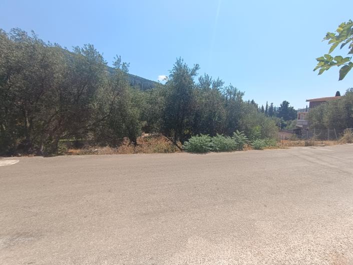 Image No.5-Land for sale