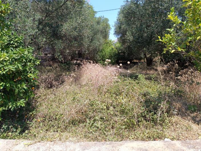 Image No.9-Land for sale