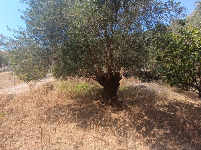 Image No.10-Land for sale