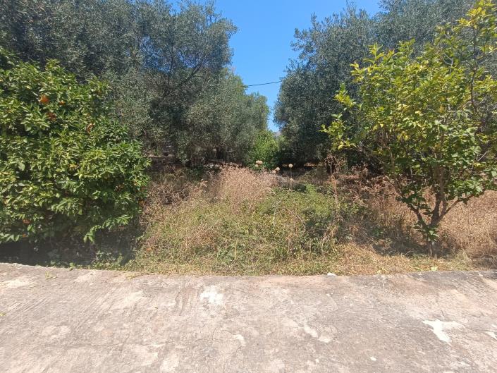 Image No.11-Land for sale