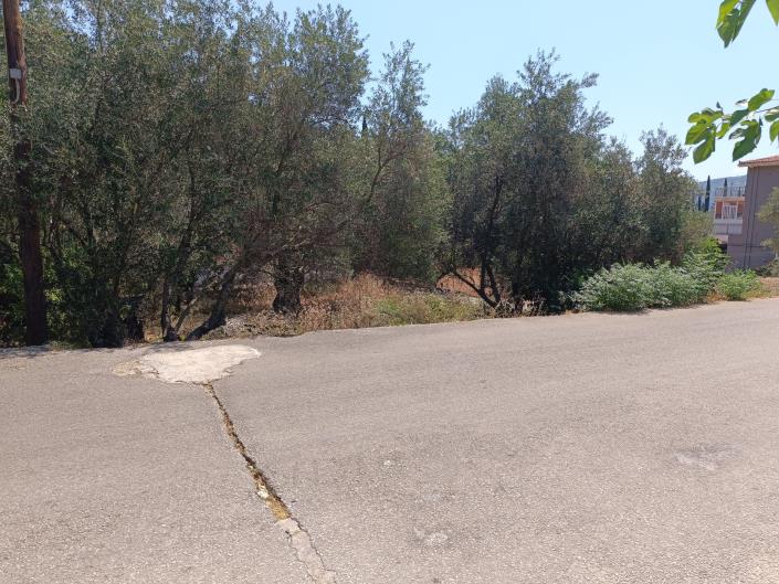 Image No.12-Land for sale