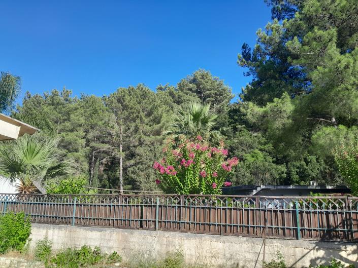 Image No.13-2 Bed House for sale